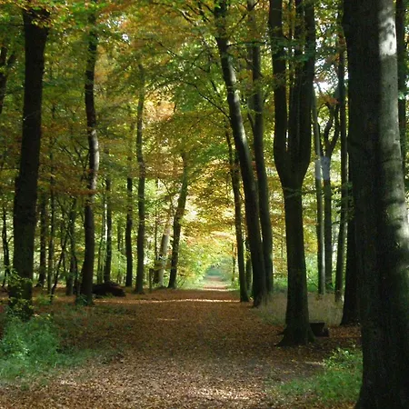 Hardter Auszeit Apartmán Dorsten