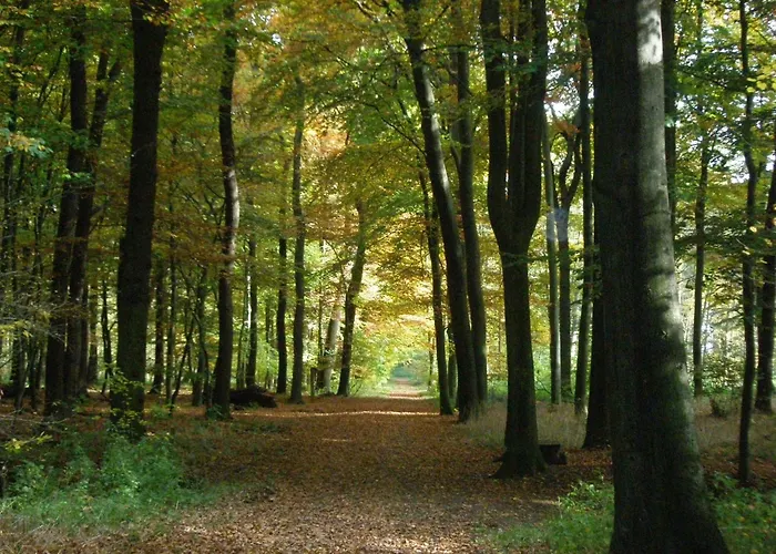 Hardter Auszeit 公寓 多斯滕